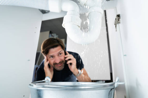 Best Drain Cleaning Services  in Wood Dale, IL