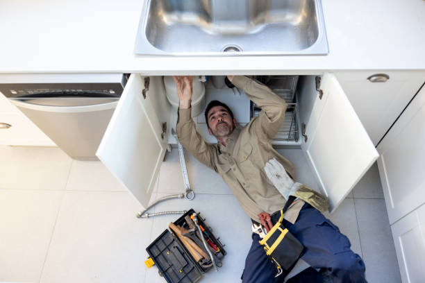 Best Plumbing Repair Near Me  in Wood Dale, IL