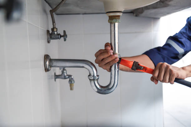 Best Clogged Drain Plumber  in Wood Dale, IL