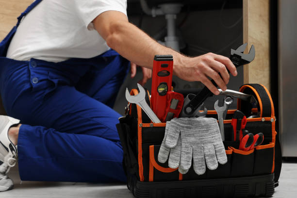 Best Residential Plumbing Services  in Wood Dale, IL