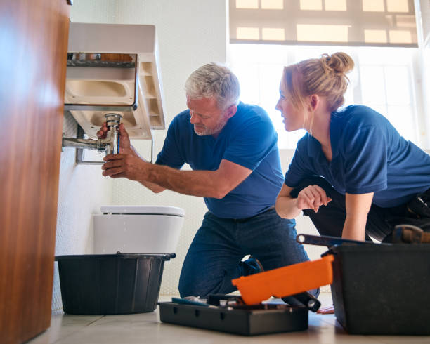 Best Plumbing Inspection Services  in Wood Dale, IL